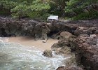 IMG 0947