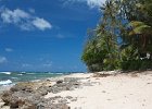 IMG 0961