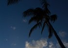 IMG 0678