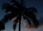 IMG 0710