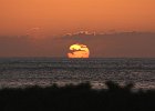 IMG 0736