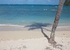 IMG 0630
