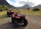 IMG 1042
