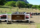 IMG 7078
