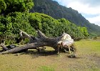 IMG 7080