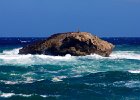 IMG 0299