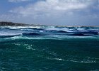 IMG 0304