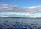 IMG 0911