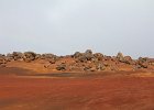 IMG 3831