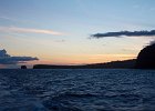 IMG 4140