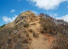IMG 2547