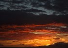 IMG 3787