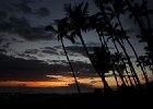 IMG 3819