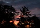 IMG 4329
