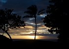 IMG 4481