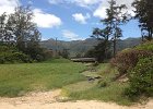 IMG 0521