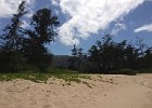 IMG 0529