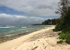 IMG 0535