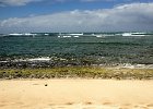 IMG 0538