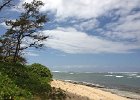 IMG 0539