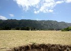IMG 0544