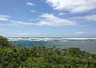 IMG 0545