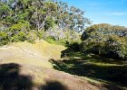 IMG 4535