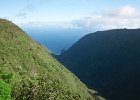 IMG 4540