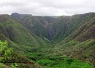 IMG 4625