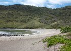 IMG 4642