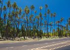 IMG 4675