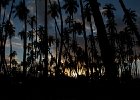 IMG 4765