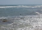 IMG 1485