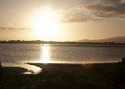 IMG 9829