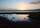IMG 9845