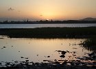 IMG 9848