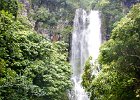 IMG 4336