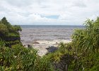 IMG 4375