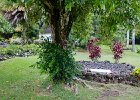 IMG 4438