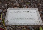 IMG 4440