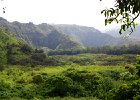 IMG 4463