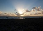 IMG 2487