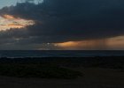 IMG 2518