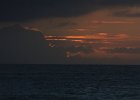 IMG 2530