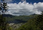 IMG 0154