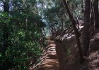 IMG 0156