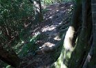 IMG 0176