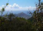 IMG 0193