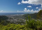 IMG 0199