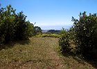 IMG 0207